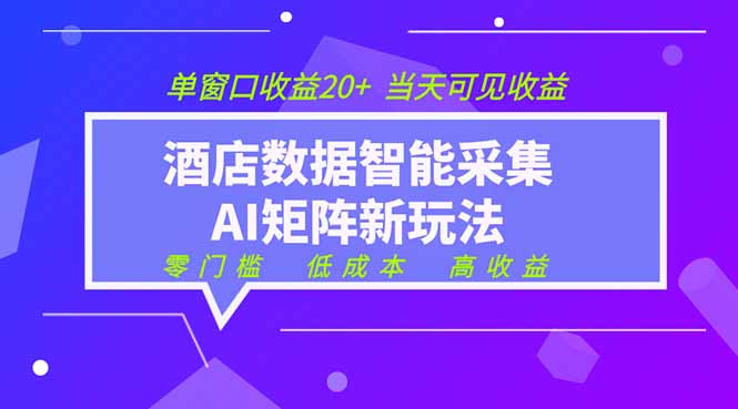 2026酒店数据采集ai智能矩阵新风口 低成本 高收益 当天见收益 单窗口20+-优优云网创