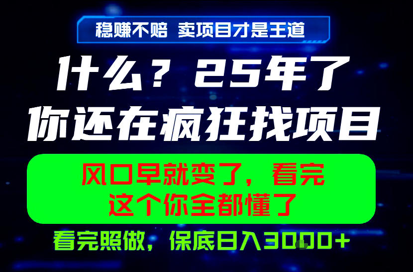 26年,请不要疯狂的找项目做了!卖项目才是真的稳賺不赔,看完照做,保底日入1k+【揭秘】-优优云网创