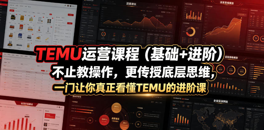 TEMU运营课程(基础+进阶)，不止教操作，更传授底层思维，一门让你真正看懂TEMU的进阶课-优优云网创