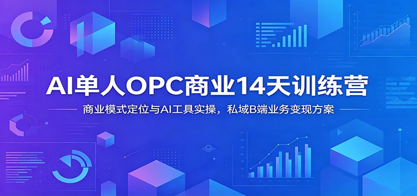 AI单人OPC商业14天训练营:商业模式定位与AI工具实操,私域B端业务变现方案-优优云网创
